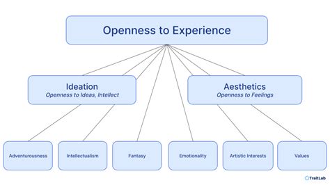 Openness to Experience