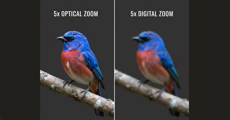 Optical Zoom vs Digital Zoom Comparison