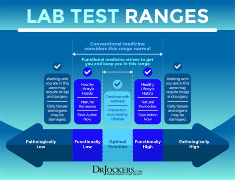 Optimal Blood Test Ranges Chart