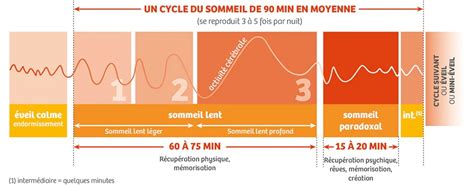 Optimiser son rythme de sommeil