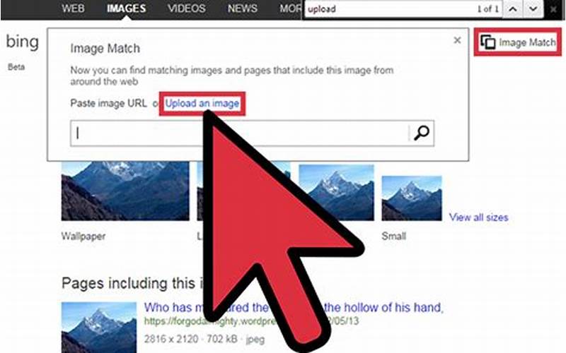 Optimizing Your Images For Bing'S Image Search
