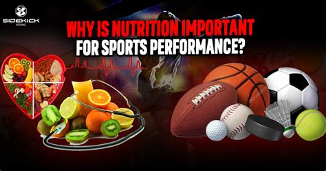 Optimizing Performance with Authentic Sports Nutrition