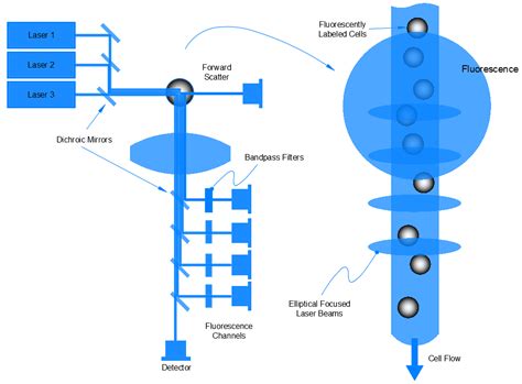 Optimizing Signal Flow