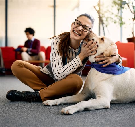 Option 1: Using a Professional Service Dog Program