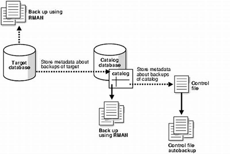 Oracle Recovery Catalog Vs Control File