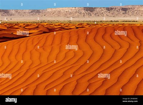 Orange Sand Dunes
