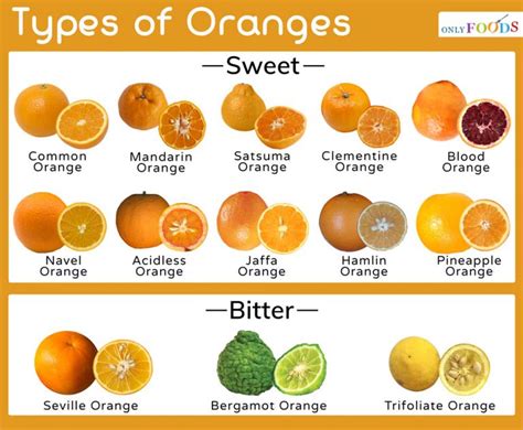 Orange Sweetness Chart