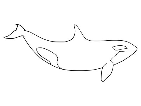 Orca Whale Printable