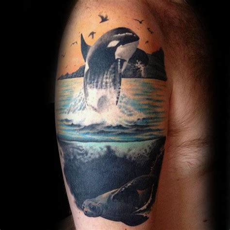 Stephanie Amaterstein on Instagram “A pair of orcas on