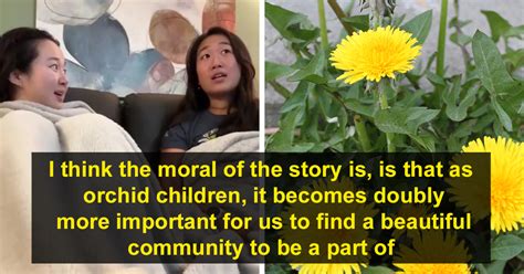 Orchid And Dandelion