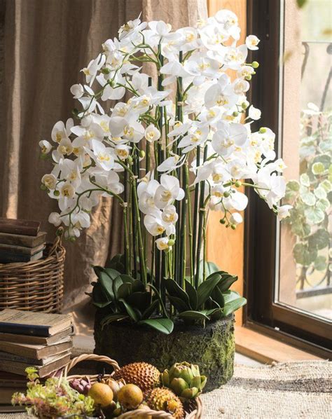 Orchid Arrangements Artificial