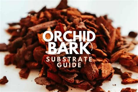 Orchid Bark Substrate