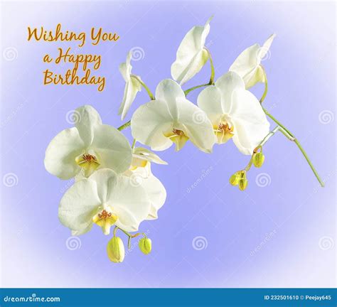 Orchid Birthday Card