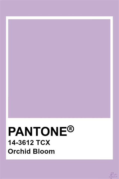 Orchid Bloom Pantone