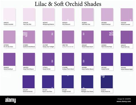 Orchid Color