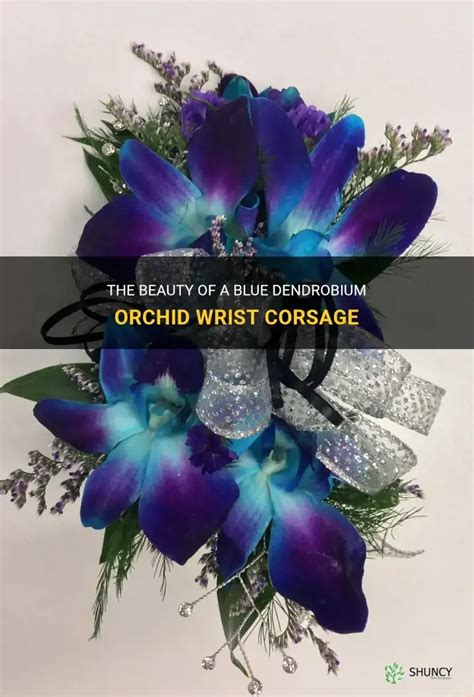 Orchid Corsage Blue