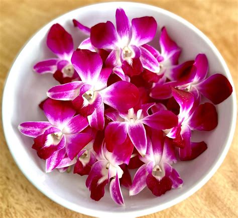 Orchid Edible