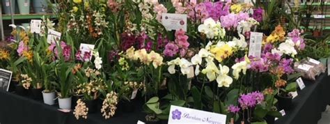 Orchid Events