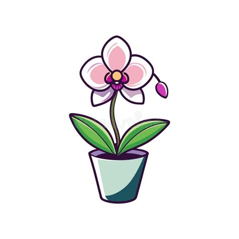 Orchid Flower Cartoon