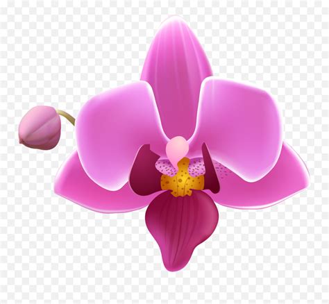 Orchid Flower Emoji