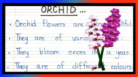 Orchid Flower Essay