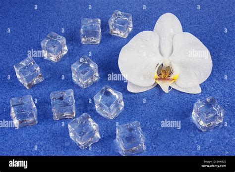 Orchid Flower Ice Cubes