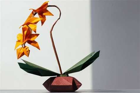 Orchid Flower Origami