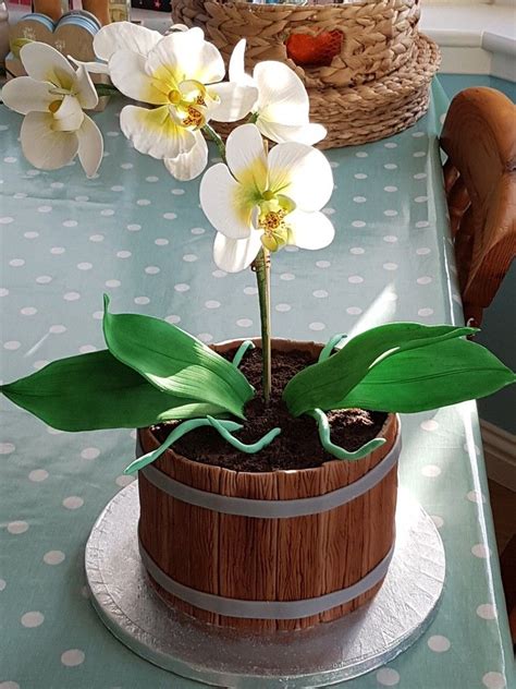 Orchid Flower Pot Cake