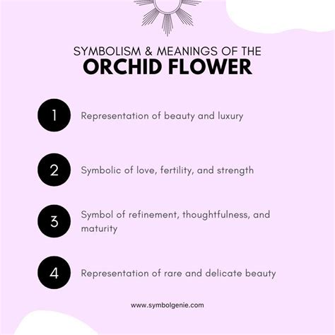 Orchid Flower Symbolism