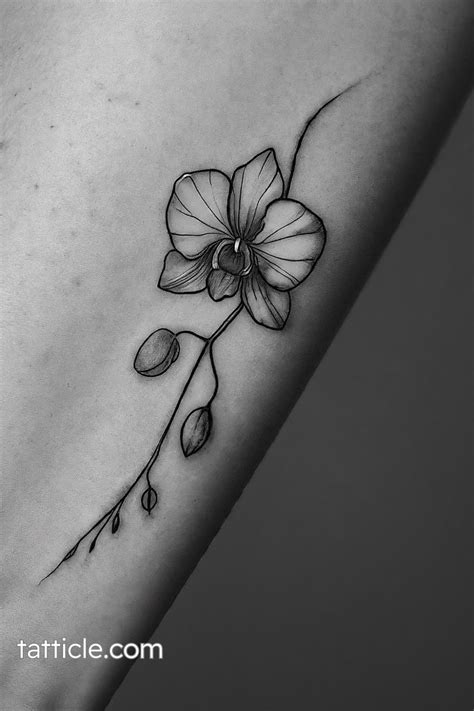 Orchid Flower Tattoo Design