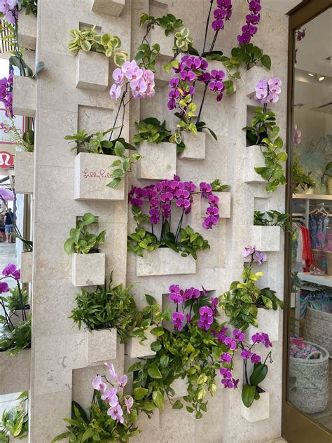 Orchid Flower Wall