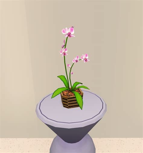 Orchid Plant Sims 3