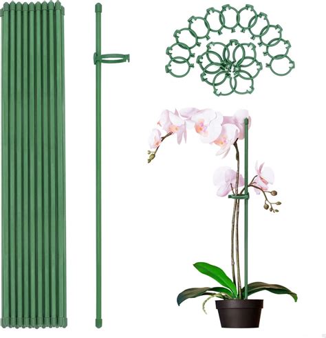 Orchid Plant Stakes