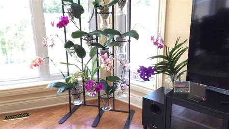 Orchid Plant Stand