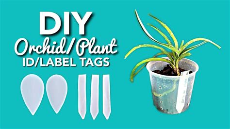 Orchid Plant Tags