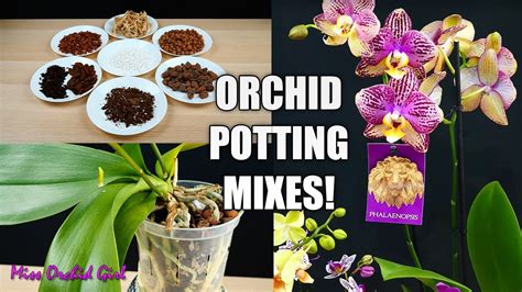 Orchid Planting Mix