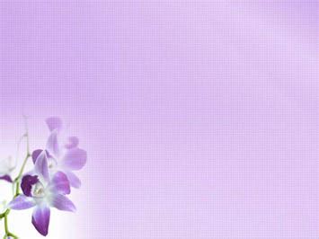 Orchid Powerpoint Template