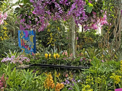 Orchid Show Nyc