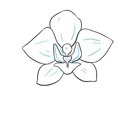 Orchid Sketch Easy