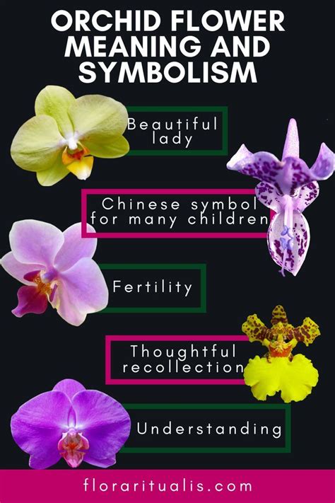 Orchid Symbolism