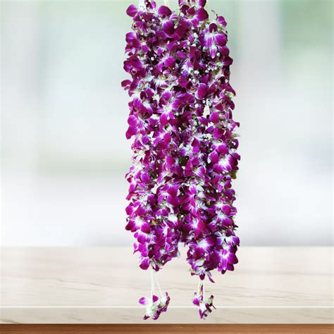 Orchid Varmala