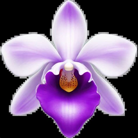 Orchidea Emoji