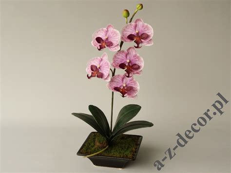 Orchidea Sklep Internetowy