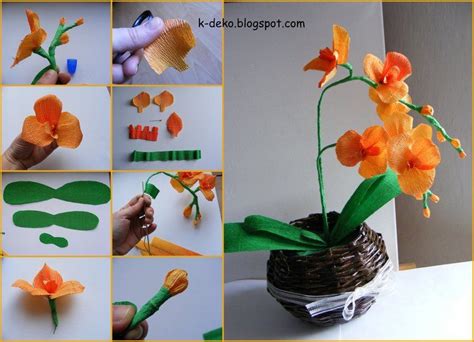 Orchidea Z Krepiny