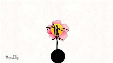 Orchids Flower Inflation