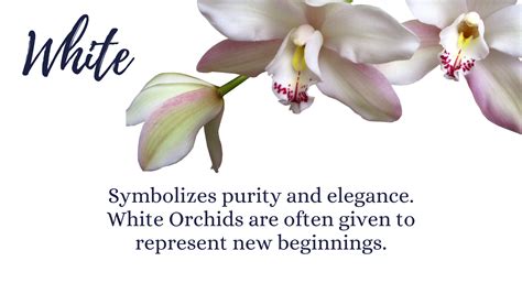 Orchids Flower Language
