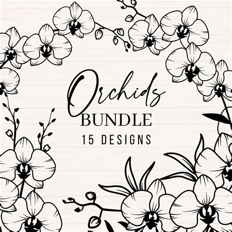 Unleash the Beauty of Nature with Stunning Orchids SVGs - A Perfect Addition to Your Next Design Project!