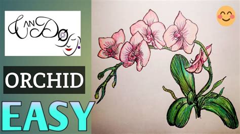 Orcid Drawing