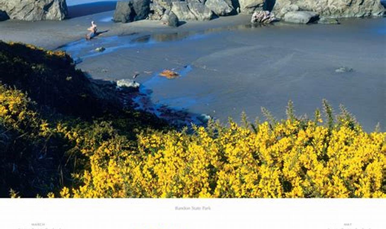 Oregon Coast Event Calendar 2024