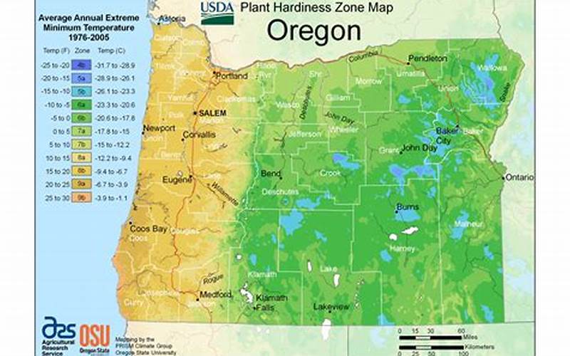 Oregon Map With Planting Zones
